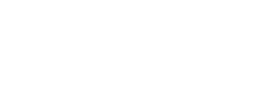 Nexen fälgar logotyp